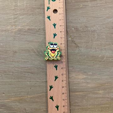 Picture of RULER FROG